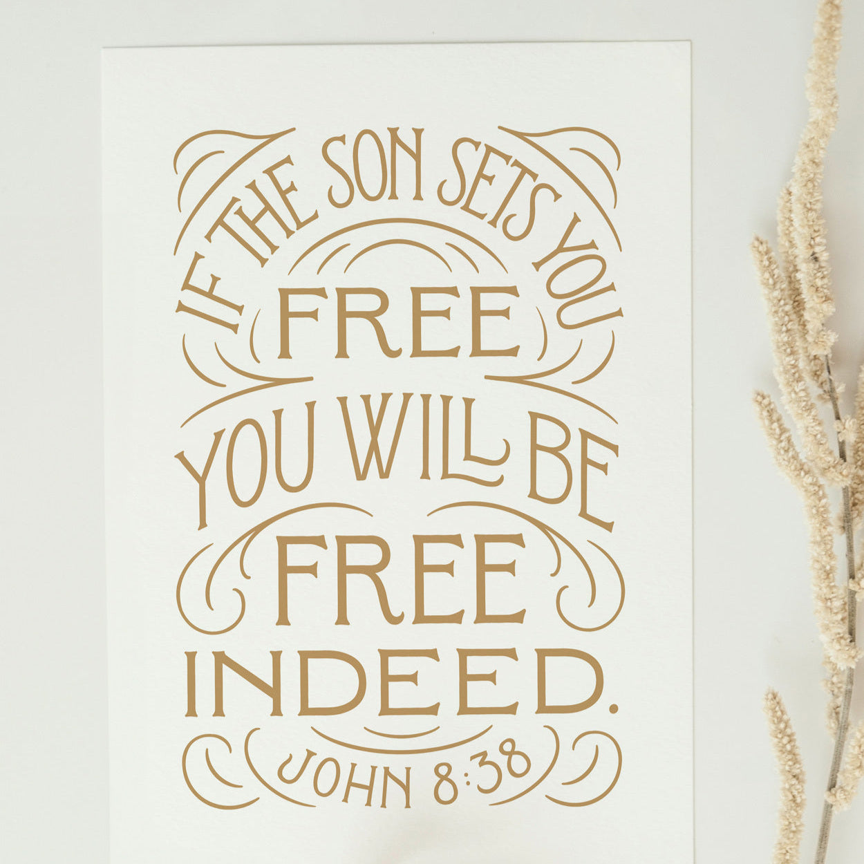 If the Son Sets You Free - John 8:36
