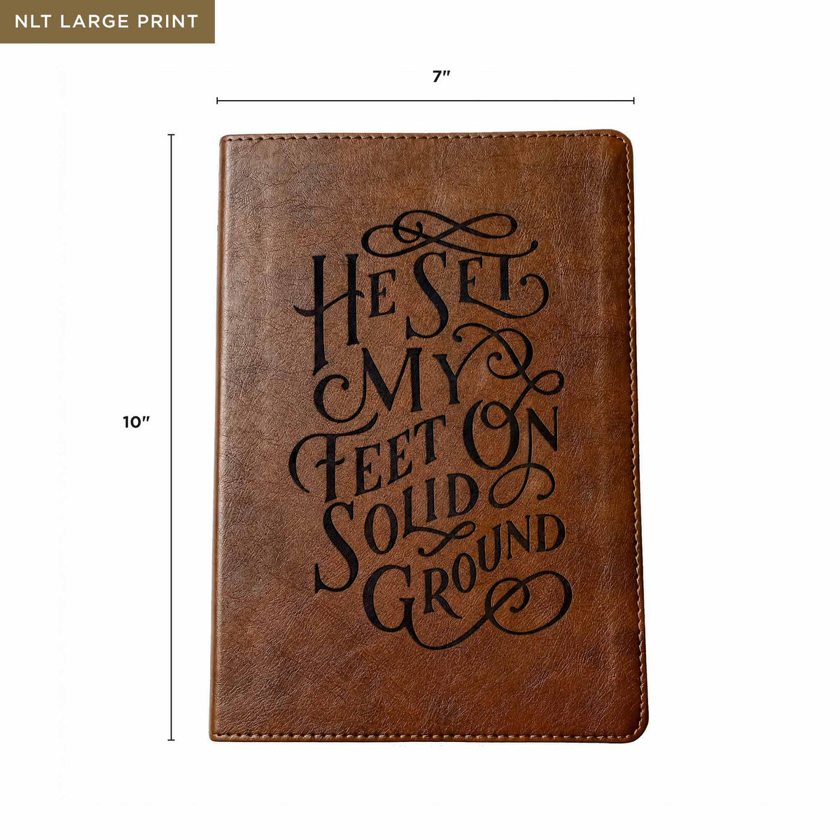 He Set My Feet on Solid Ground Bible