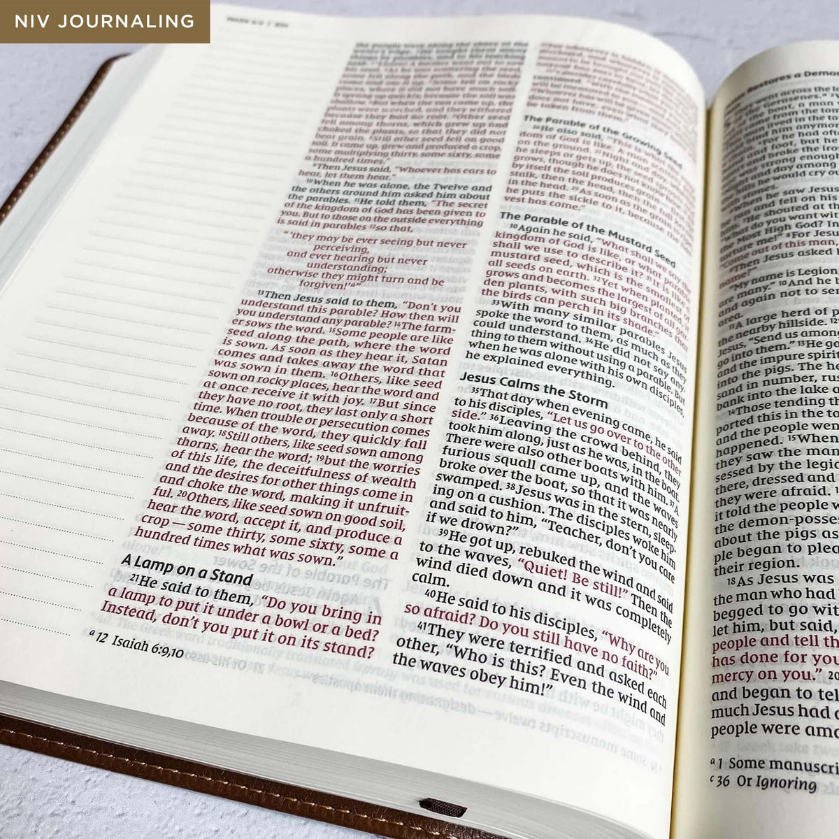As the Deer Pants Bible