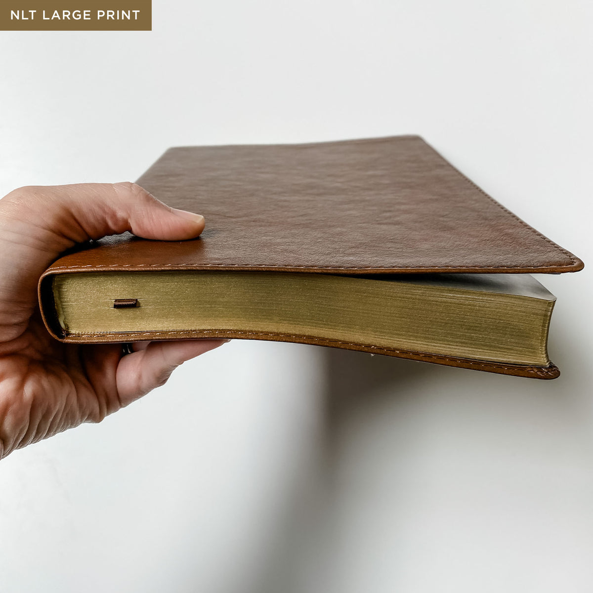 As the Deer Pants Bible