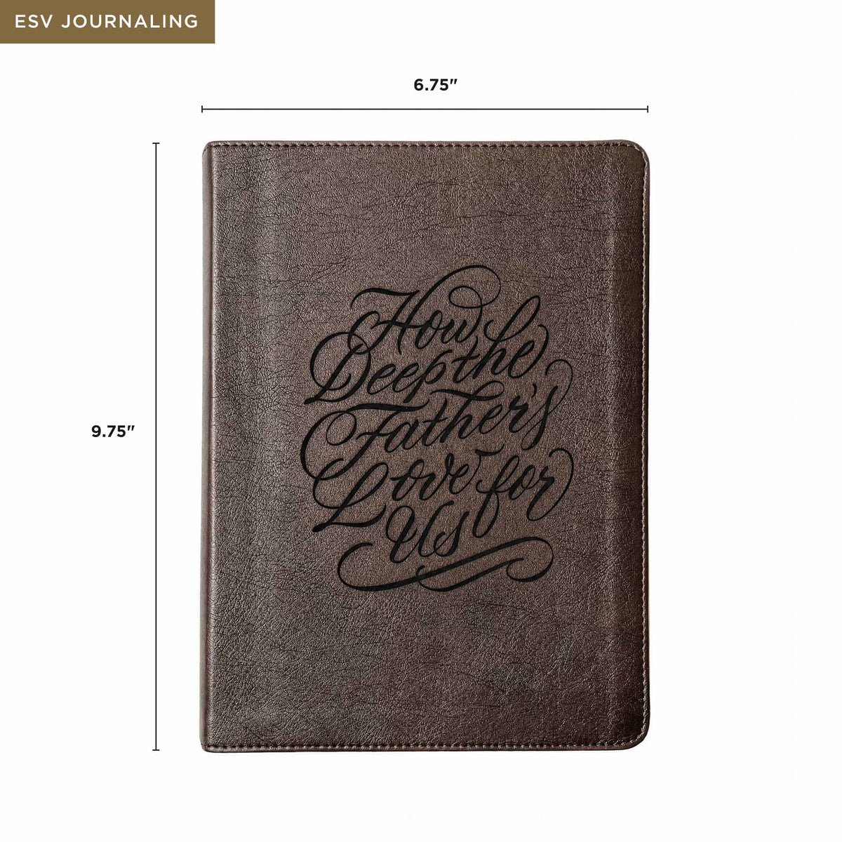 How Deep the Father's Love Bible