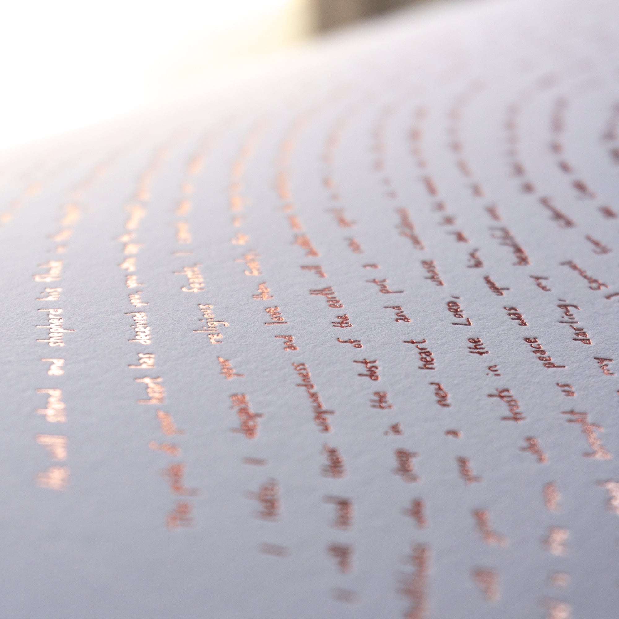 Rose Gold Illuminated Fingerprint - Bible Wall Art