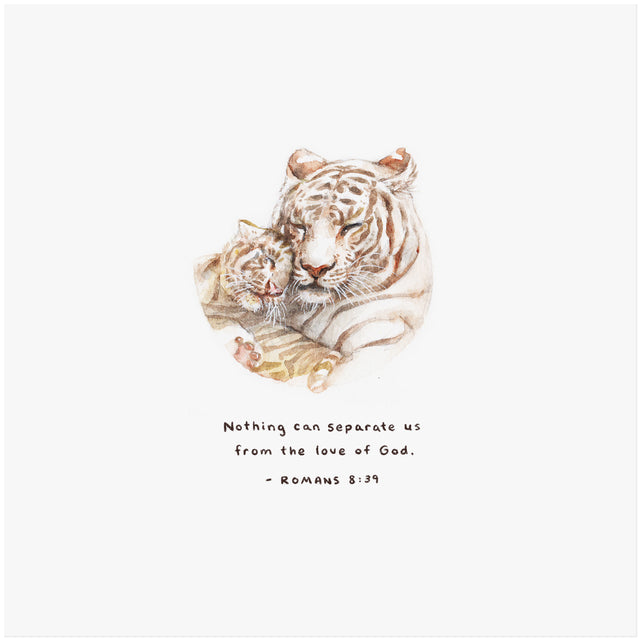 Romans 8:39 Artwork of tiger and cub - "Nothing can separate us from the love of God."