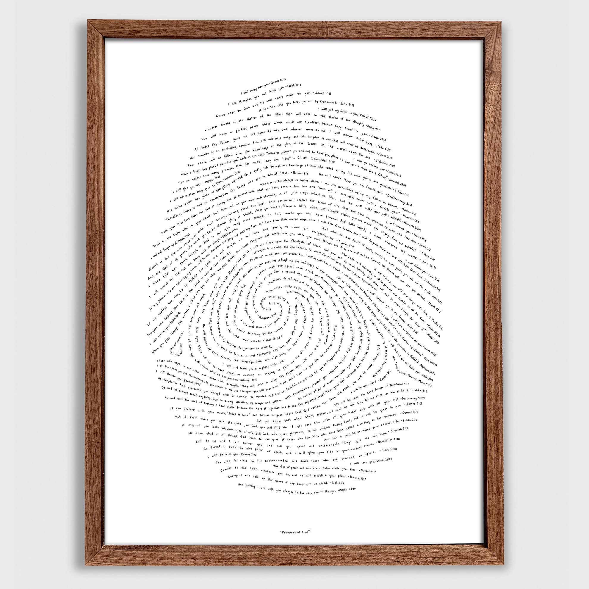 Promises of God - Classic Edition (16x20)