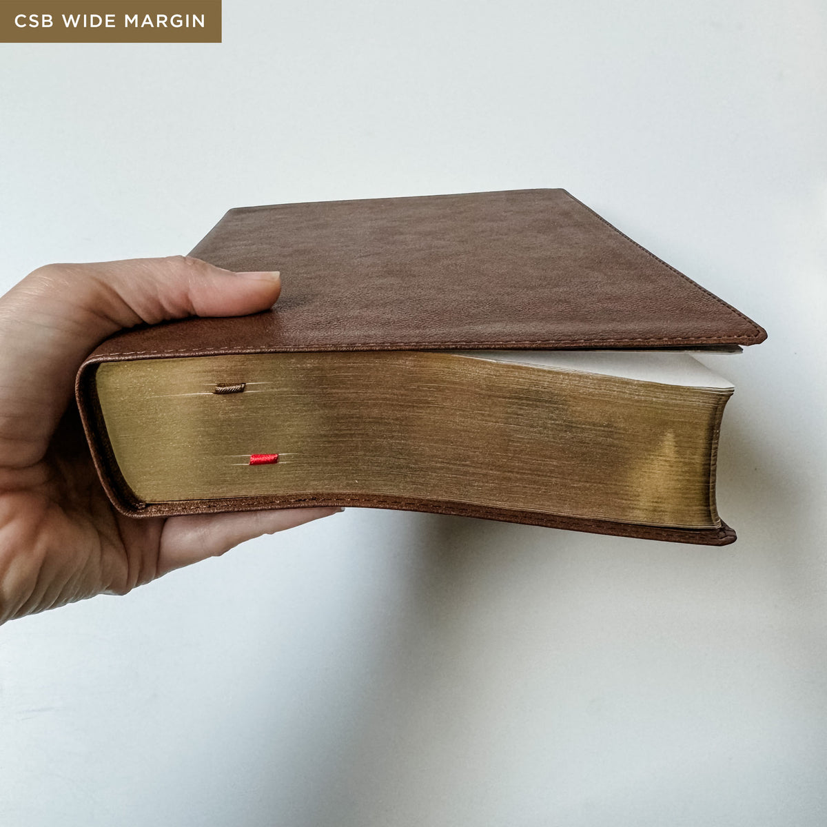 Love Covers All Bible