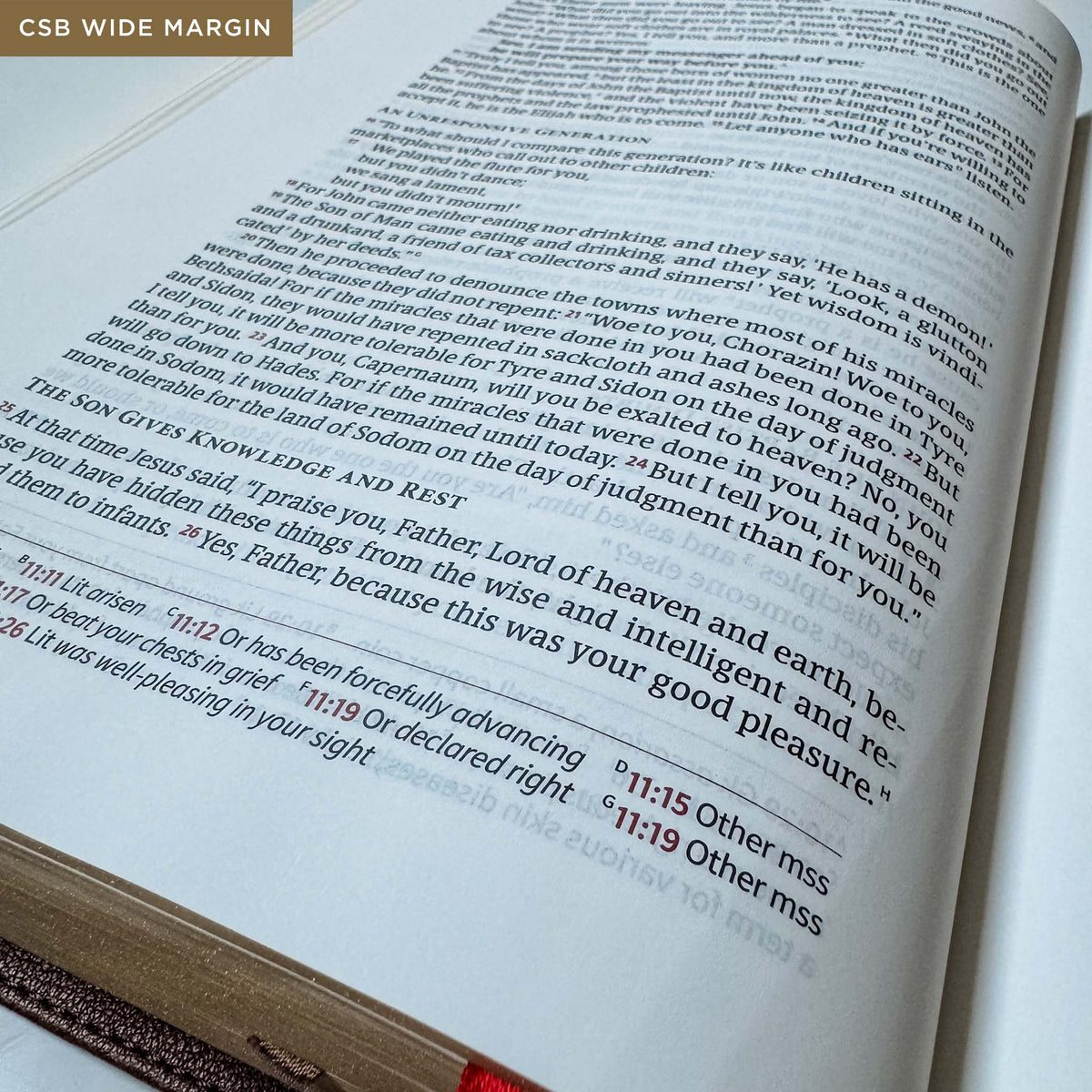 As the Deer Pants Bible