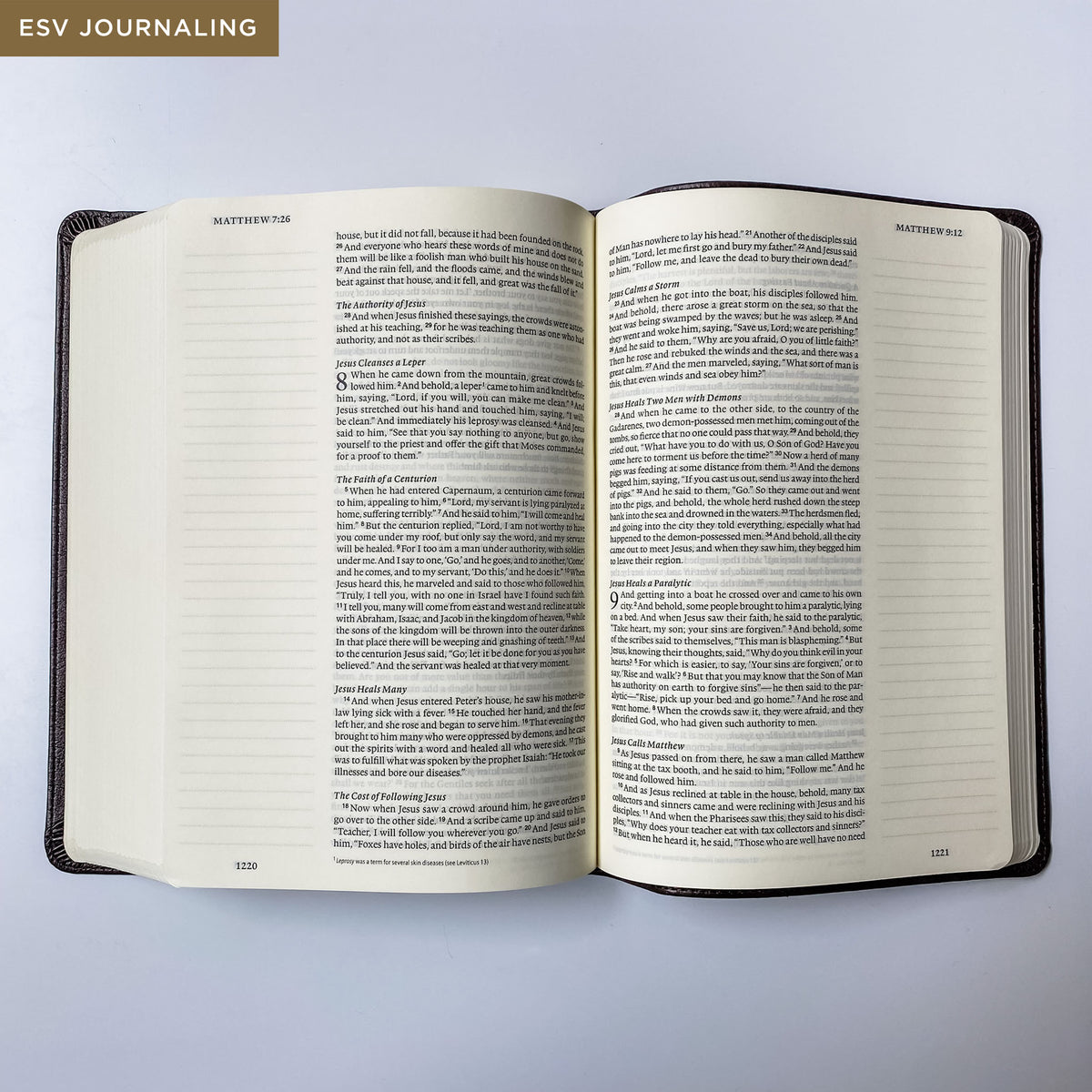 Fearfully & Wonderfully Made Bible