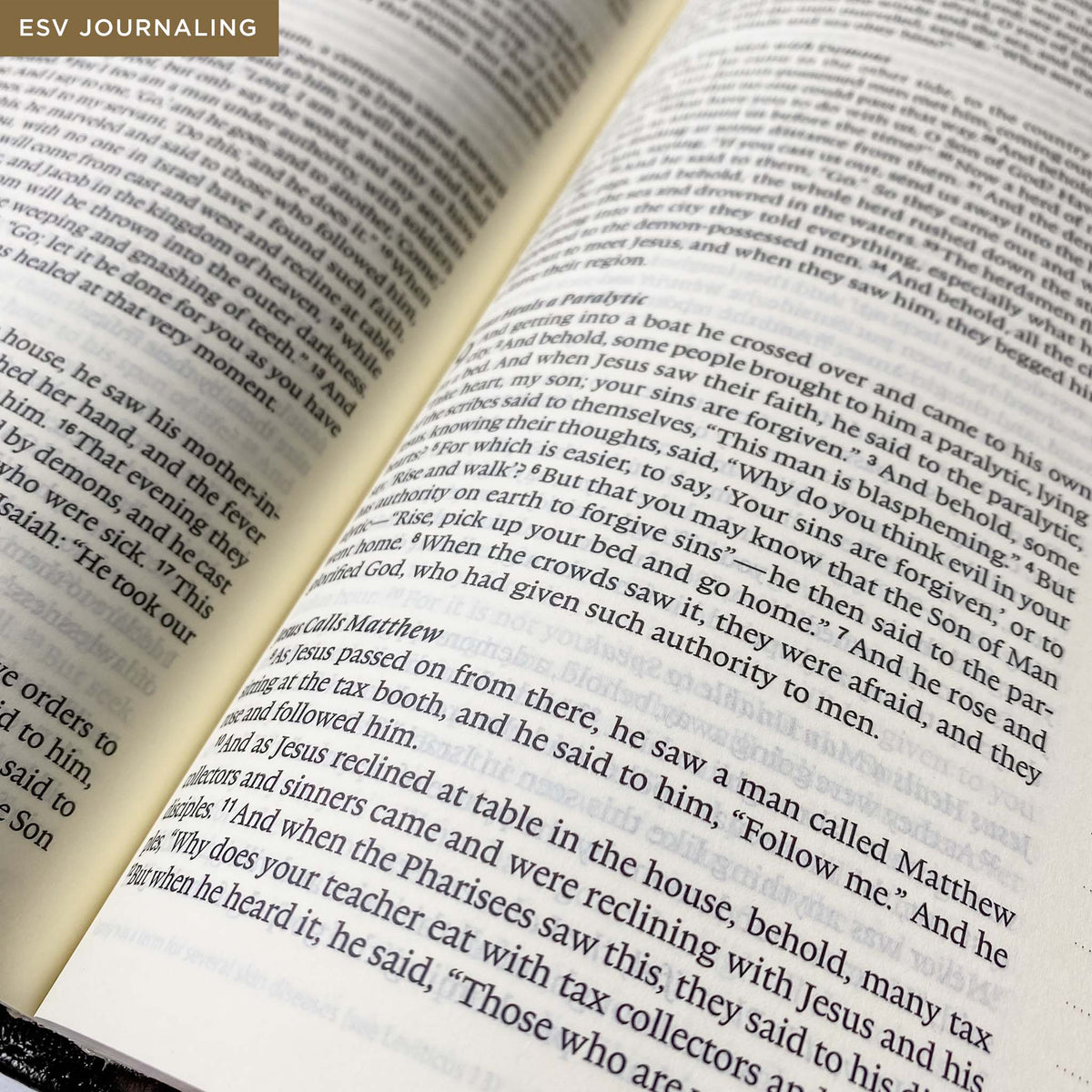 Shelter of His Name Bible