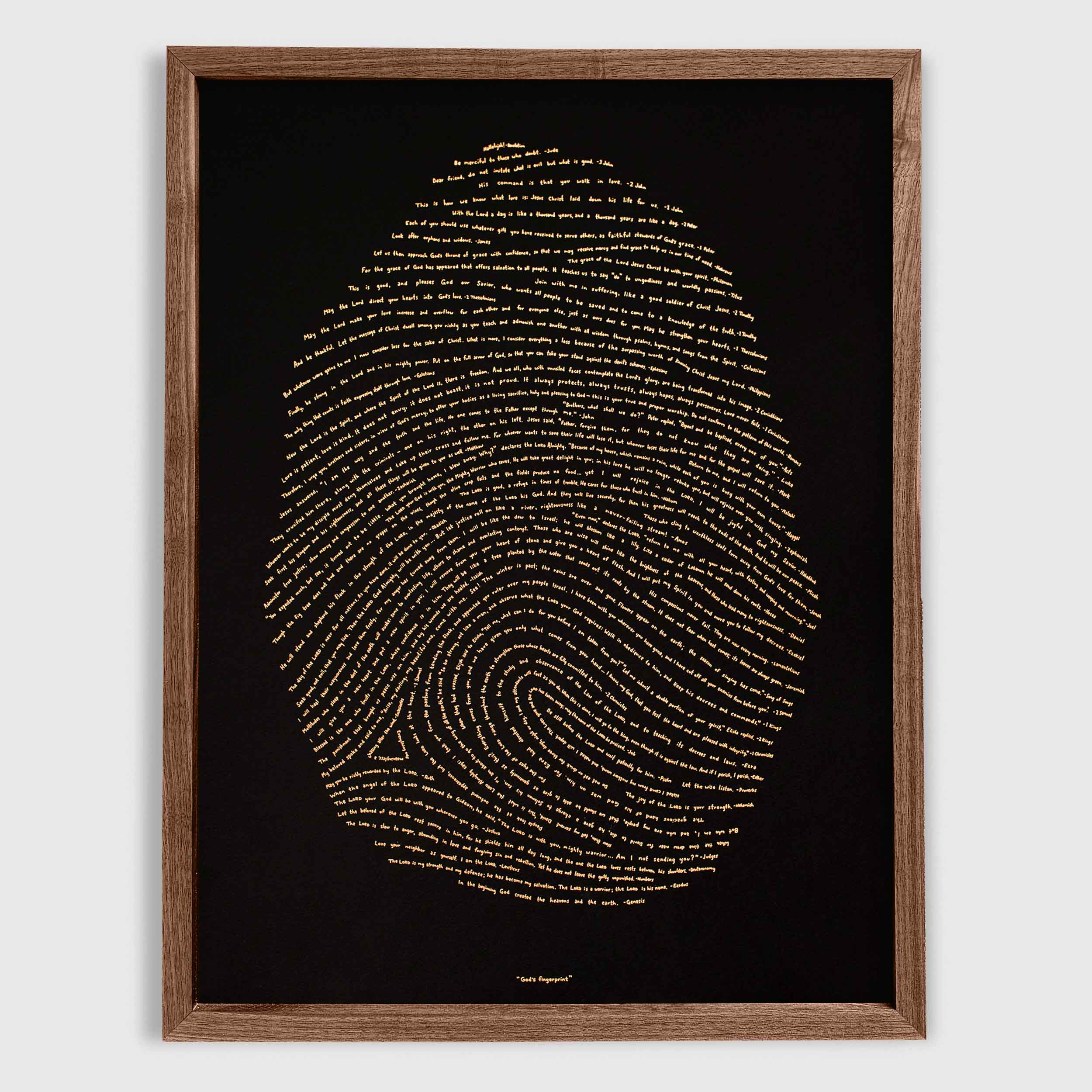 God's Fingerprint - Illuminated Edition (NIV)