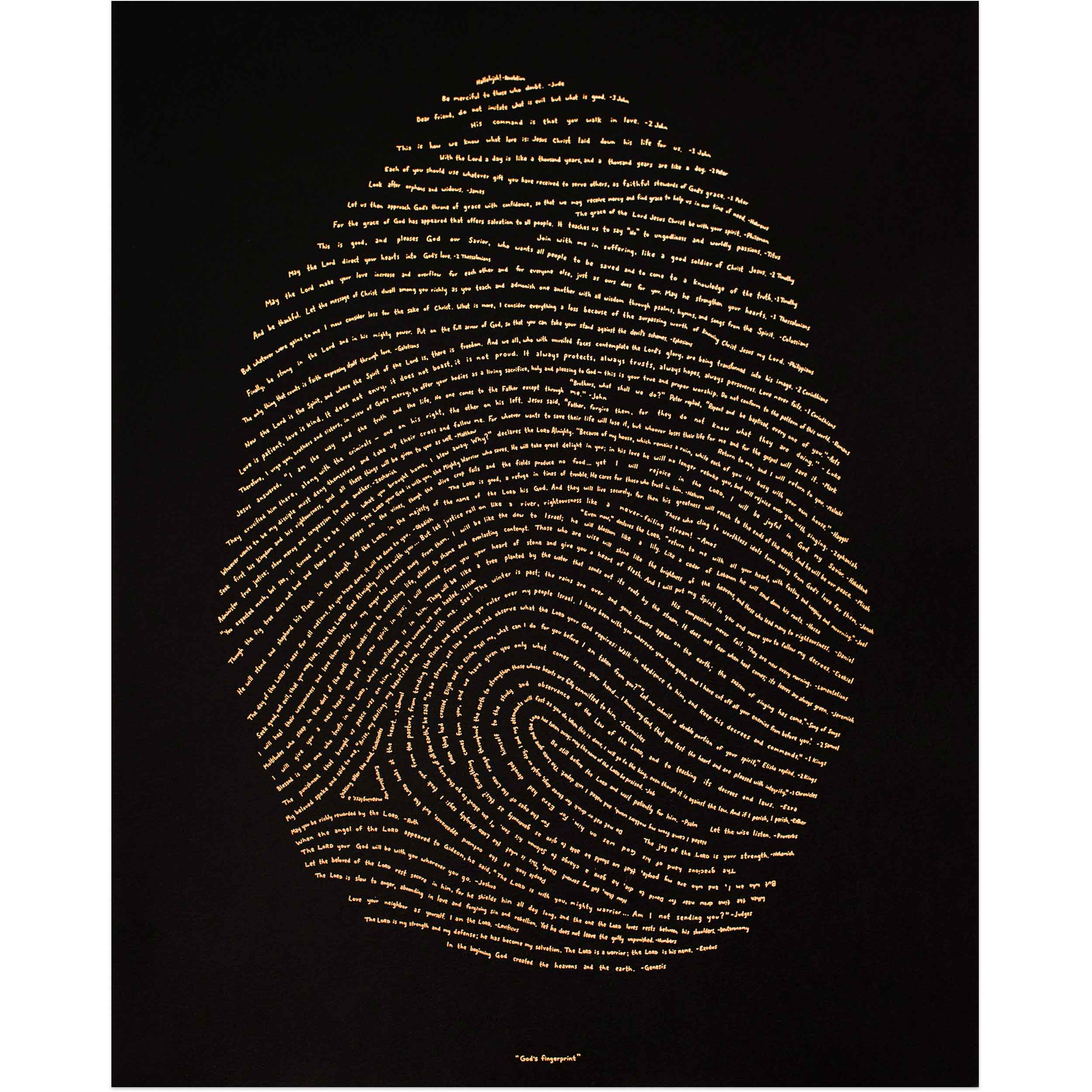God's Fingerprint - Illuminated Edition (NIV)