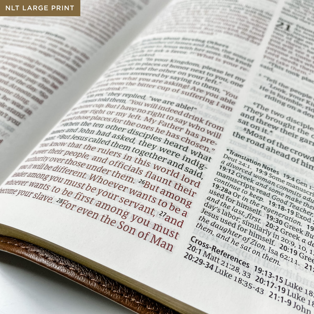 He Set My Feet on Solid Ground Bible