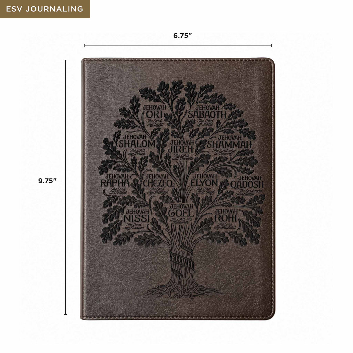 Shelter of His Name Bible