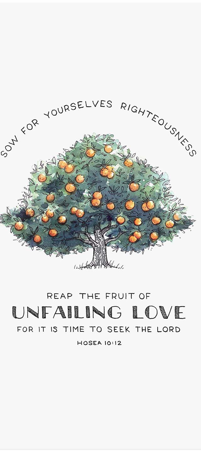 Fruit of Unfailing Love - Hosea 10:12