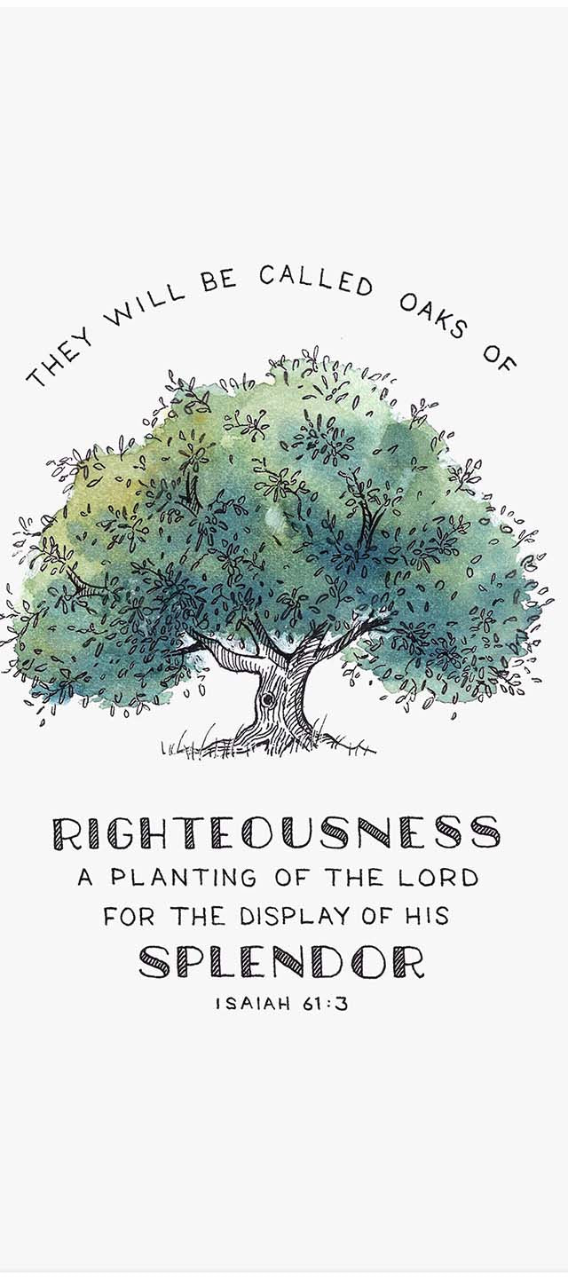 Oak of Righteousness - Isaiah 61:3