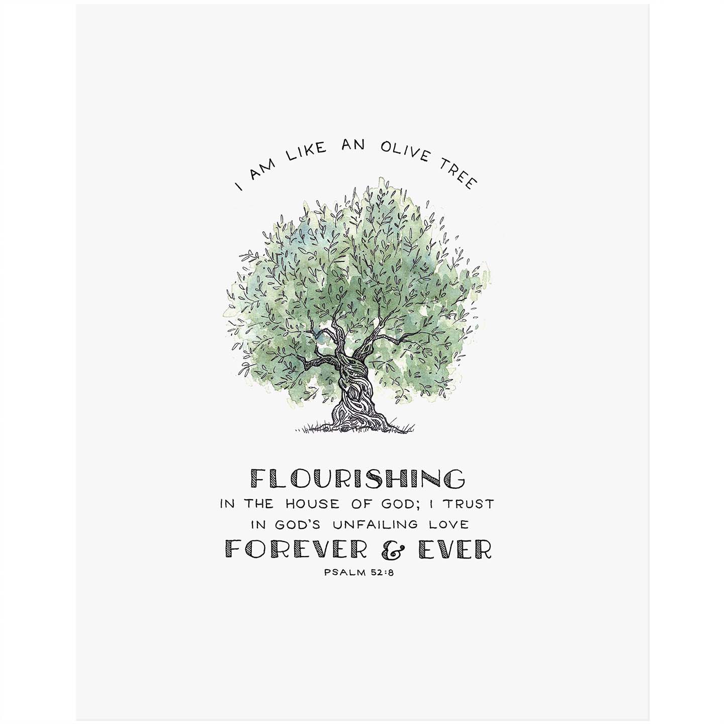 Flourishing Olive - Psalm 52:8