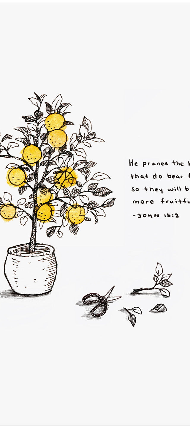 Even More Fruitful - John 15:2