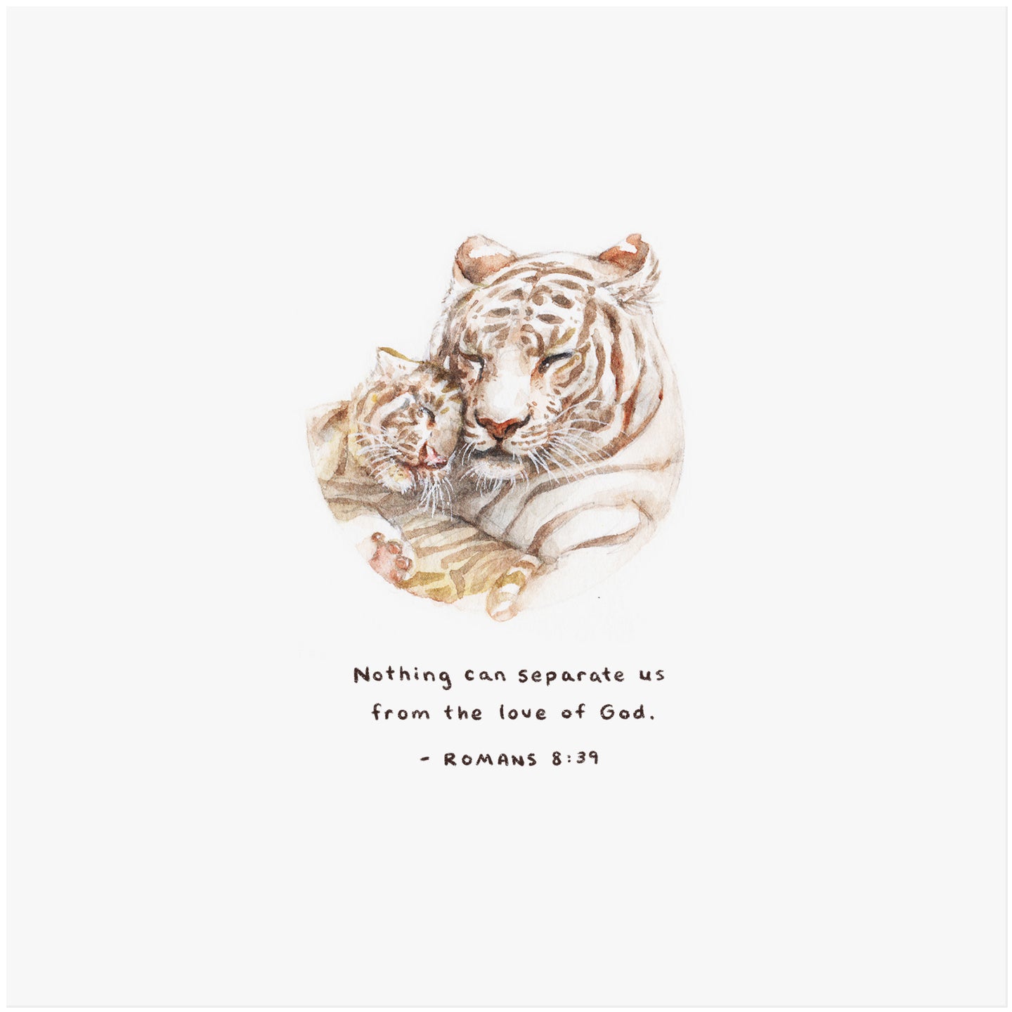 Romans 8:39 Artwork of tiger and cub - 