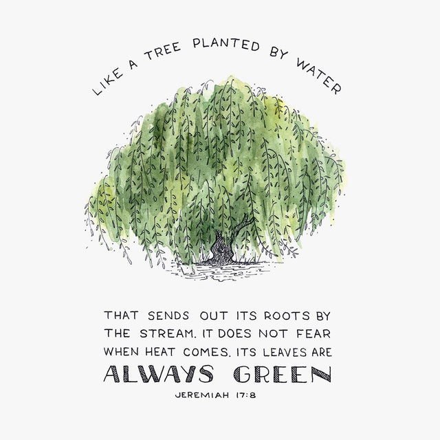 Scripture Artwork of “They will be like a tree planted by the water that sends out its roots by the stream. It does not fear when heat comes; its leaves are always green." - Jeremiah 17:8